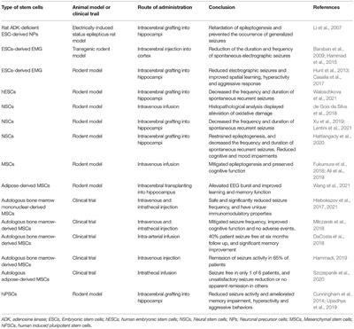 Stem Cell Therapy in Treating Epilepsy